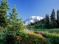 paysages 06